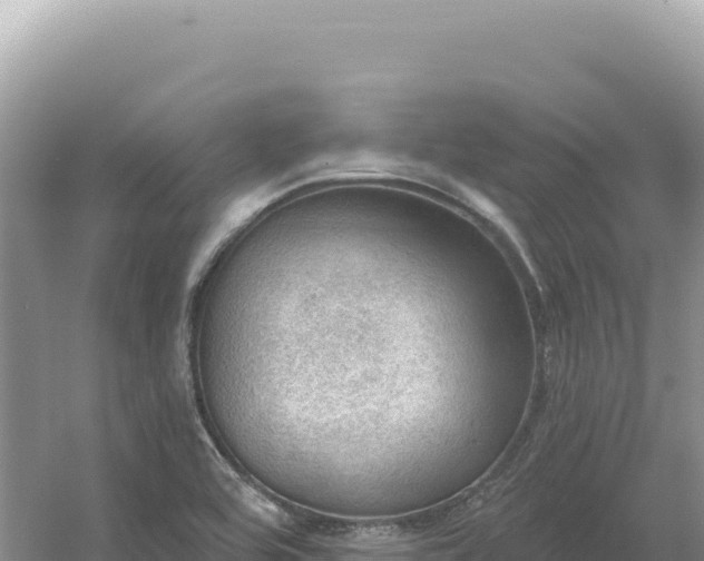 X0000054401464200508051701