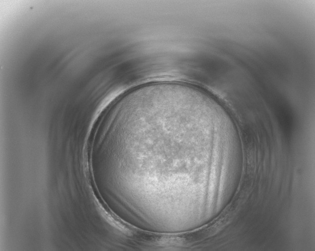 X0000054401466200508051701