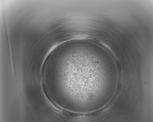 X0000054401467200508051701