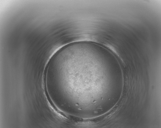 X0000054401468200508051701