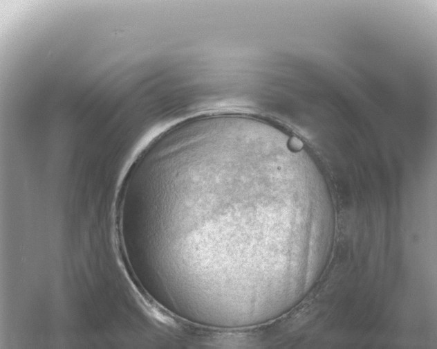 X0000054401470200508051701