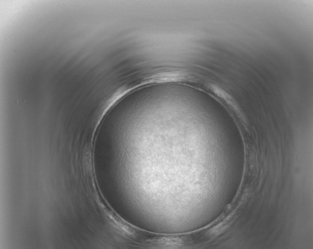 X0000054401473200508051700