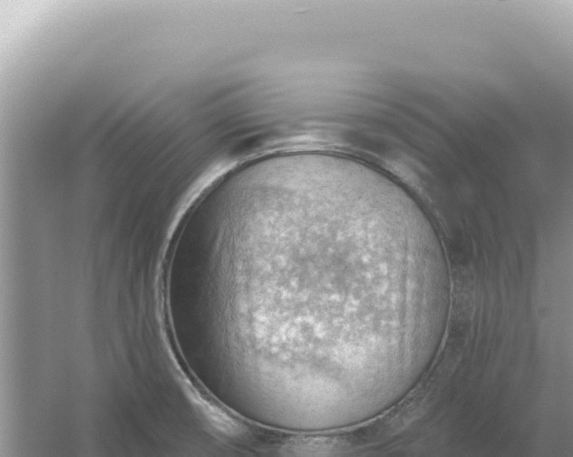 X0000054401474200508051700