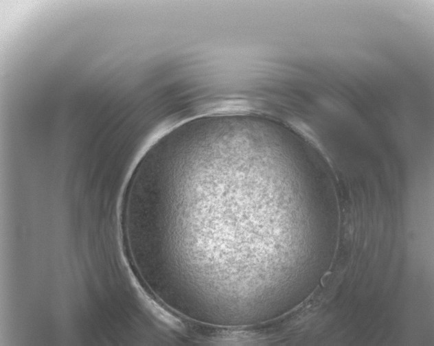 X0000054401475200508051700