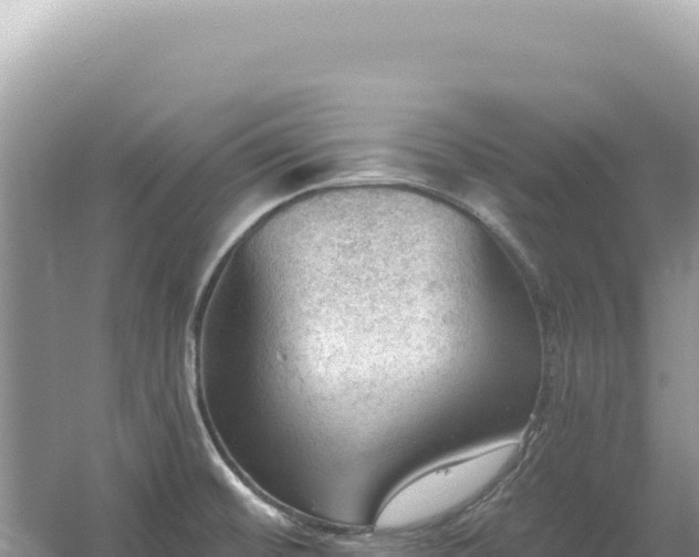 X0000054401476200508051700