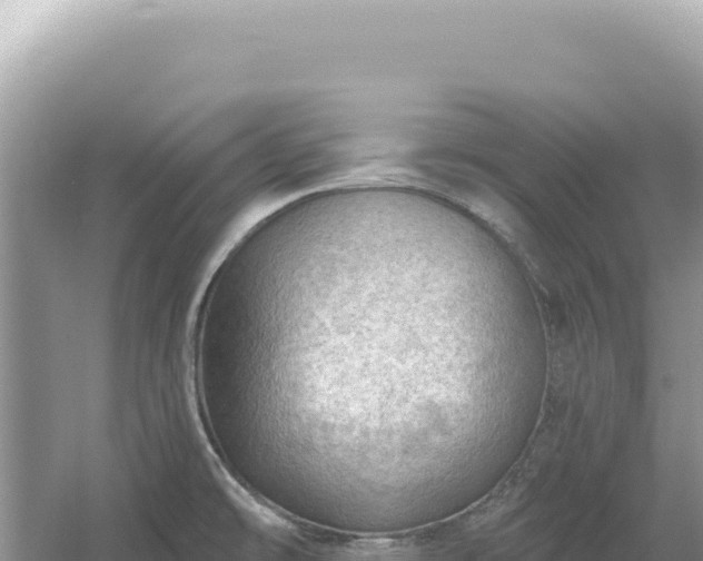 X0000054401478200508051700