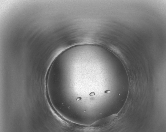 X0000054401479200508051700