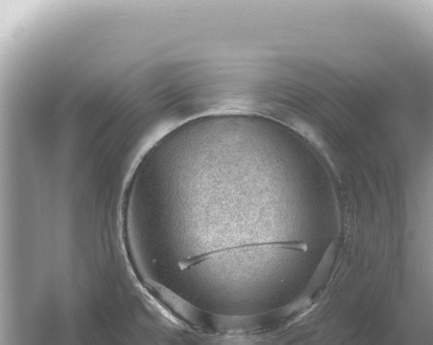 X0000054401480200508051700