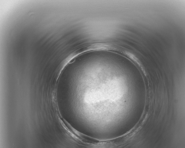 X0000054401481200508051700