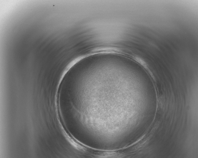 X0000054401482200508051700