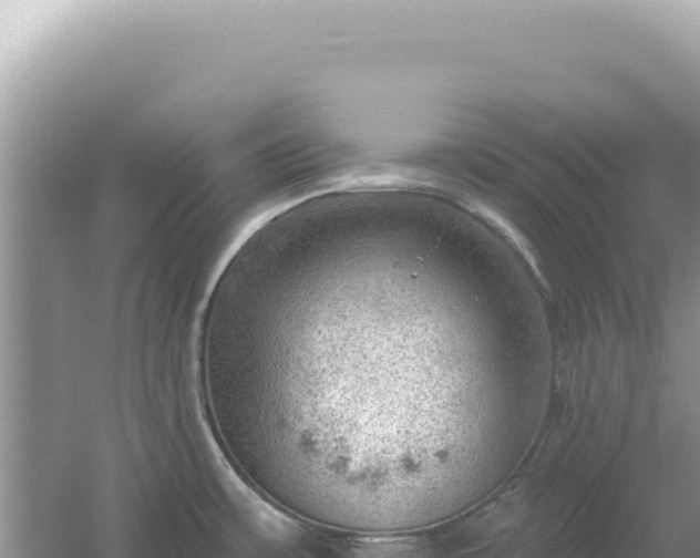 X0000054401483200508051700