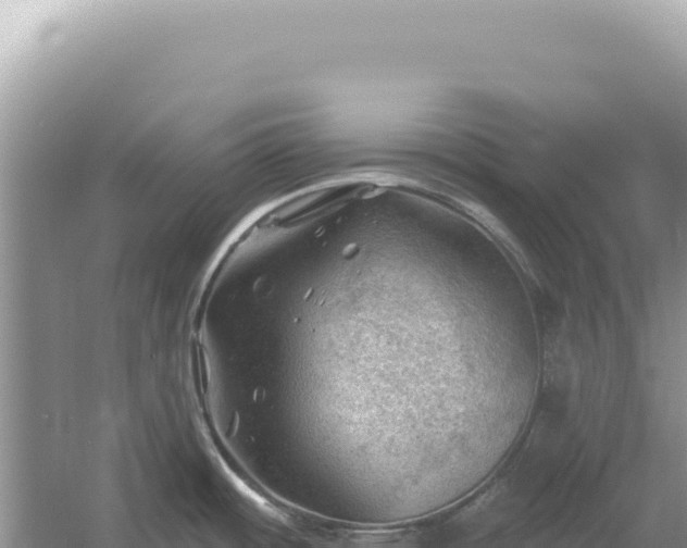 X0000054401484200508051700