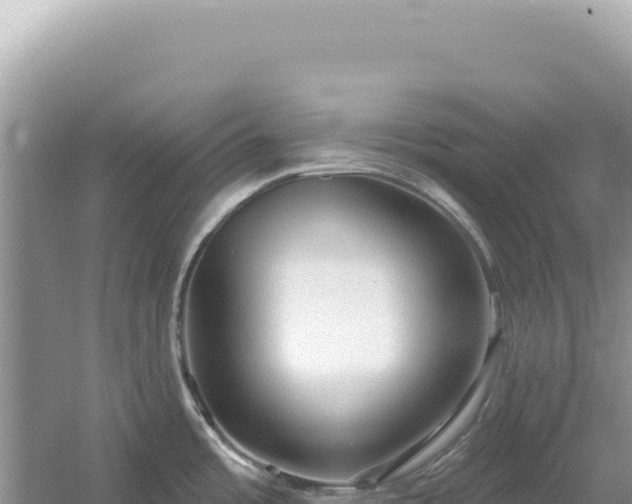 X0000054401485200508051700