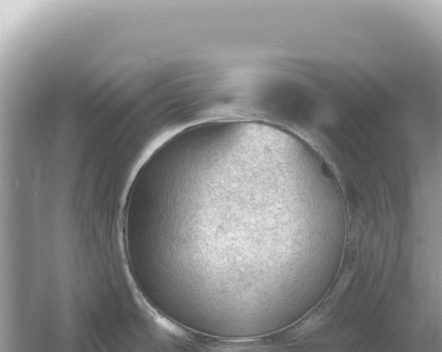 X0000054401486200508051700