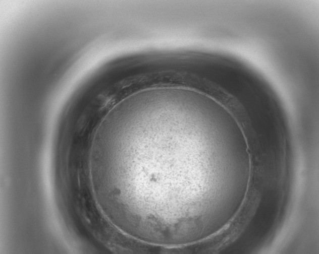 X0000054401487200508051700