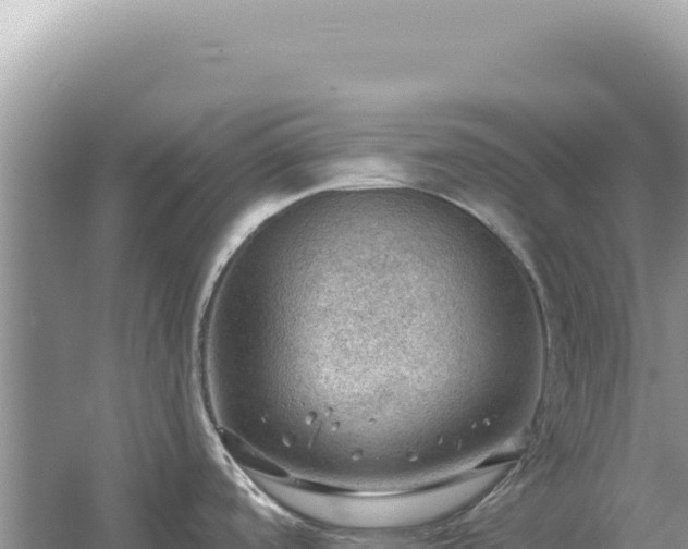 X0000054401488200508051700