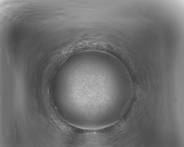 X0000054401489200508051659