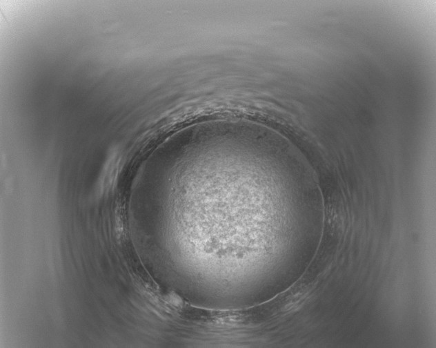 X0000054401490200508051659