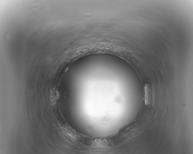 X0000054401491200508051659