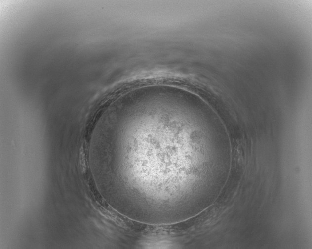 X0000054401493200508051700