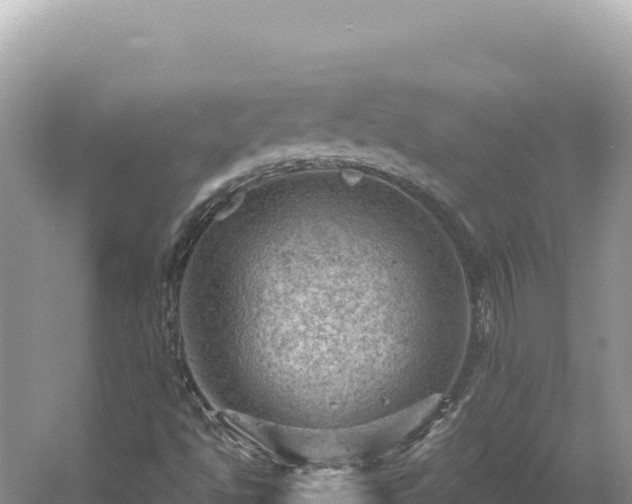 X0000054401494200508051700