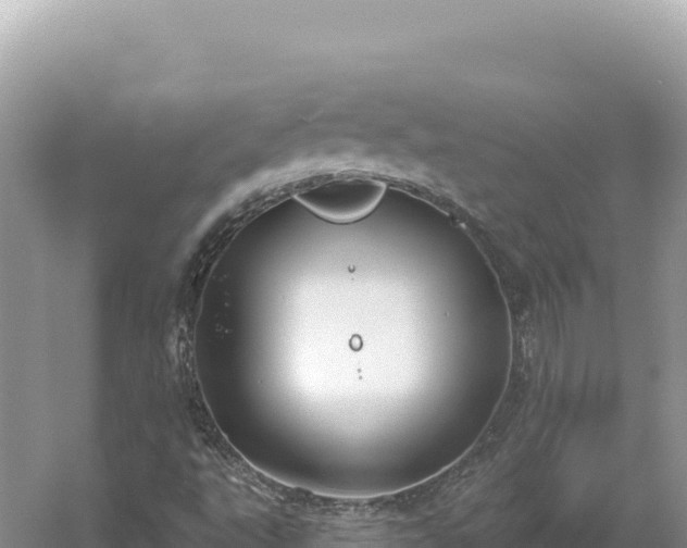 X0000054401495200508051700