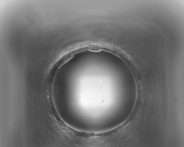 X0000054401496200508051700