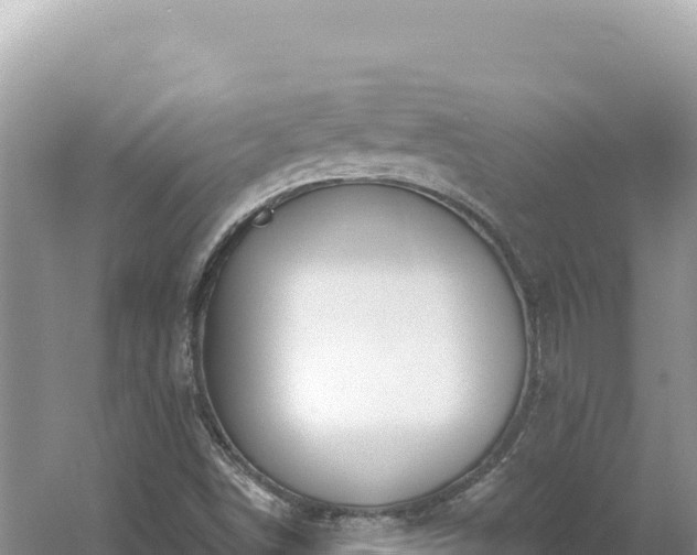 X0000054401498200508051700