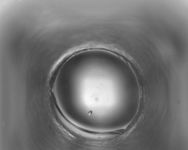 X0000054401502200508051700