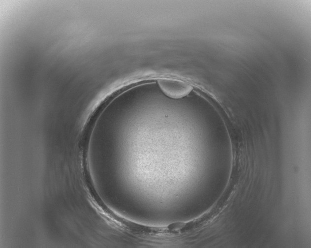 X0000054401503200508051700