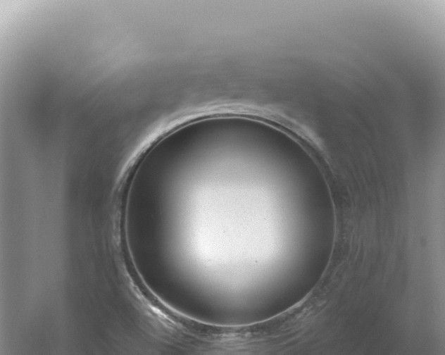 X0000054401504200508051700