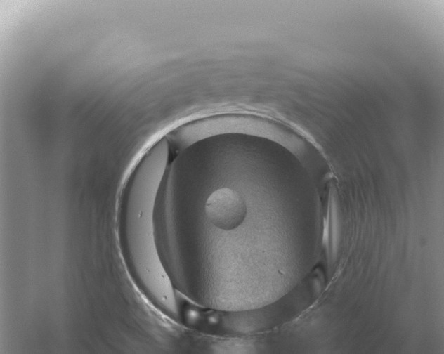 X0000054401508200508051700