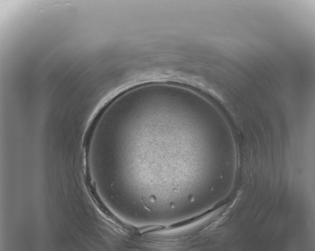 X0000054401509200508051700