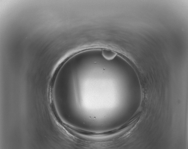 X0000054401510200508051700