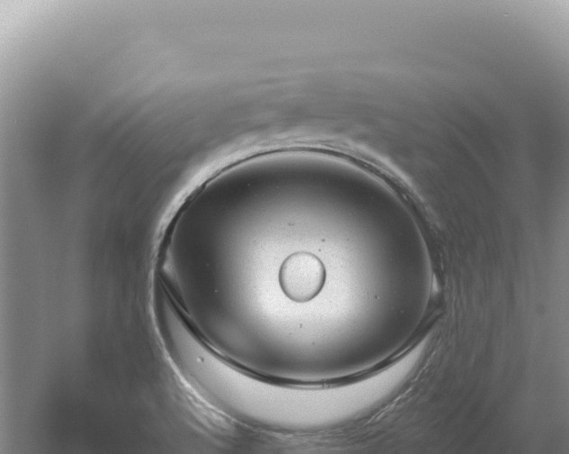 X0000054401512200508051700