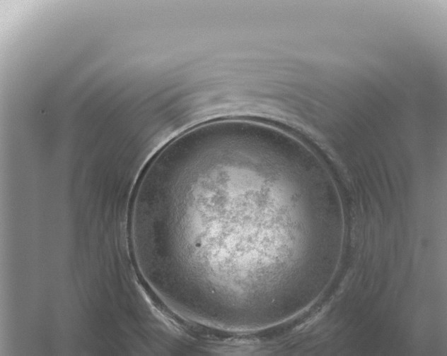 X0000054401513200508051700