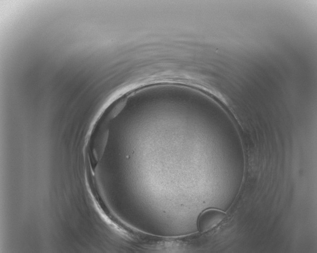 X0000054401515200508051700