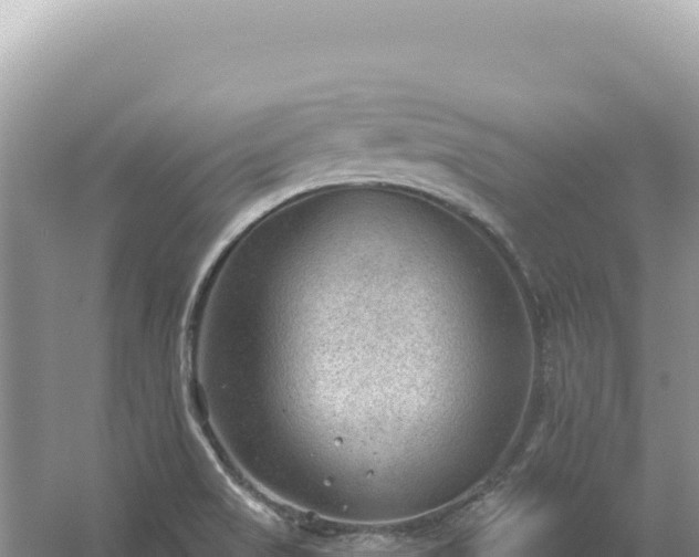 X0000054401517200508051700