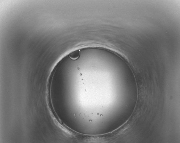 X0000054401518200508051700