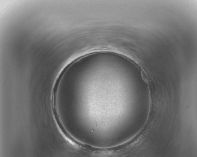 X0000054401519200508051700