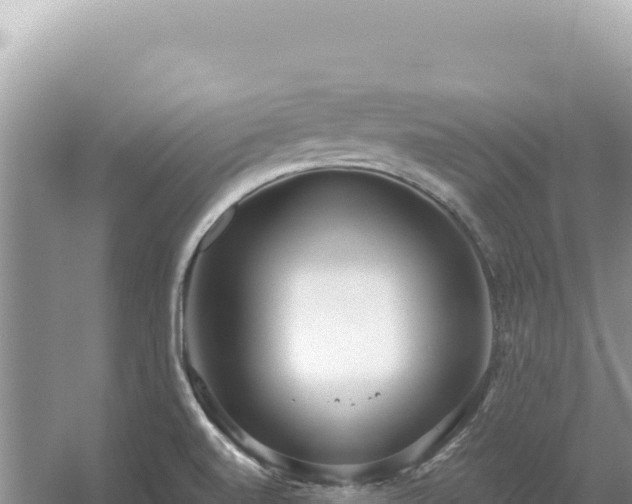 X0000054401520200508051700