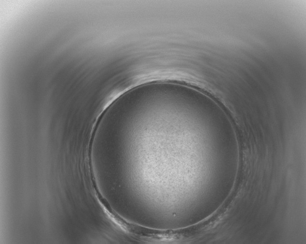 X0000054401521200508051700