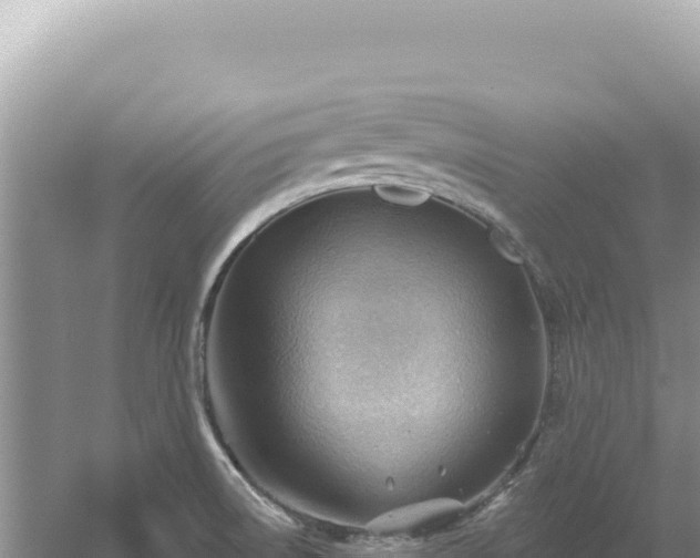 X0000054401522200508051700