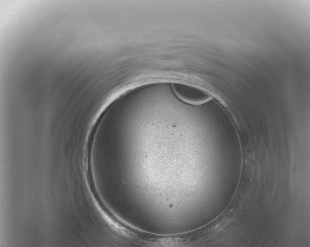 X0000054401523200508051700