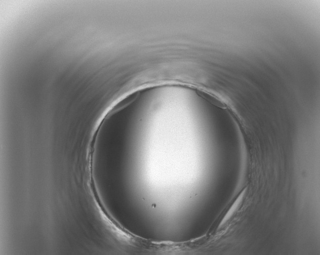 X0000054401524200508051700