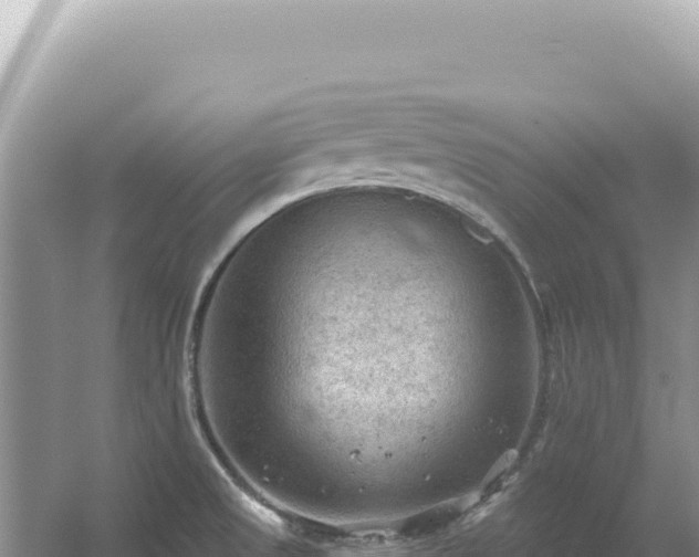 X0000054401525200508051700