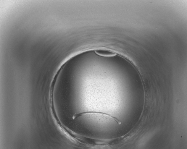 X0000054401526200508051700