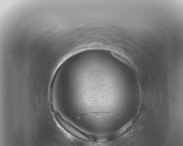 X0000054401527200508051700