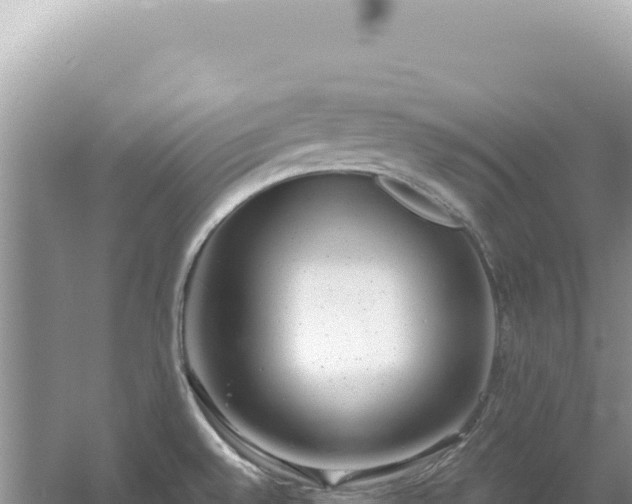 X0000054401528200508051700