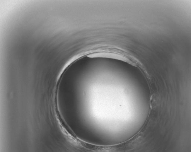 X0000054401530200508051700